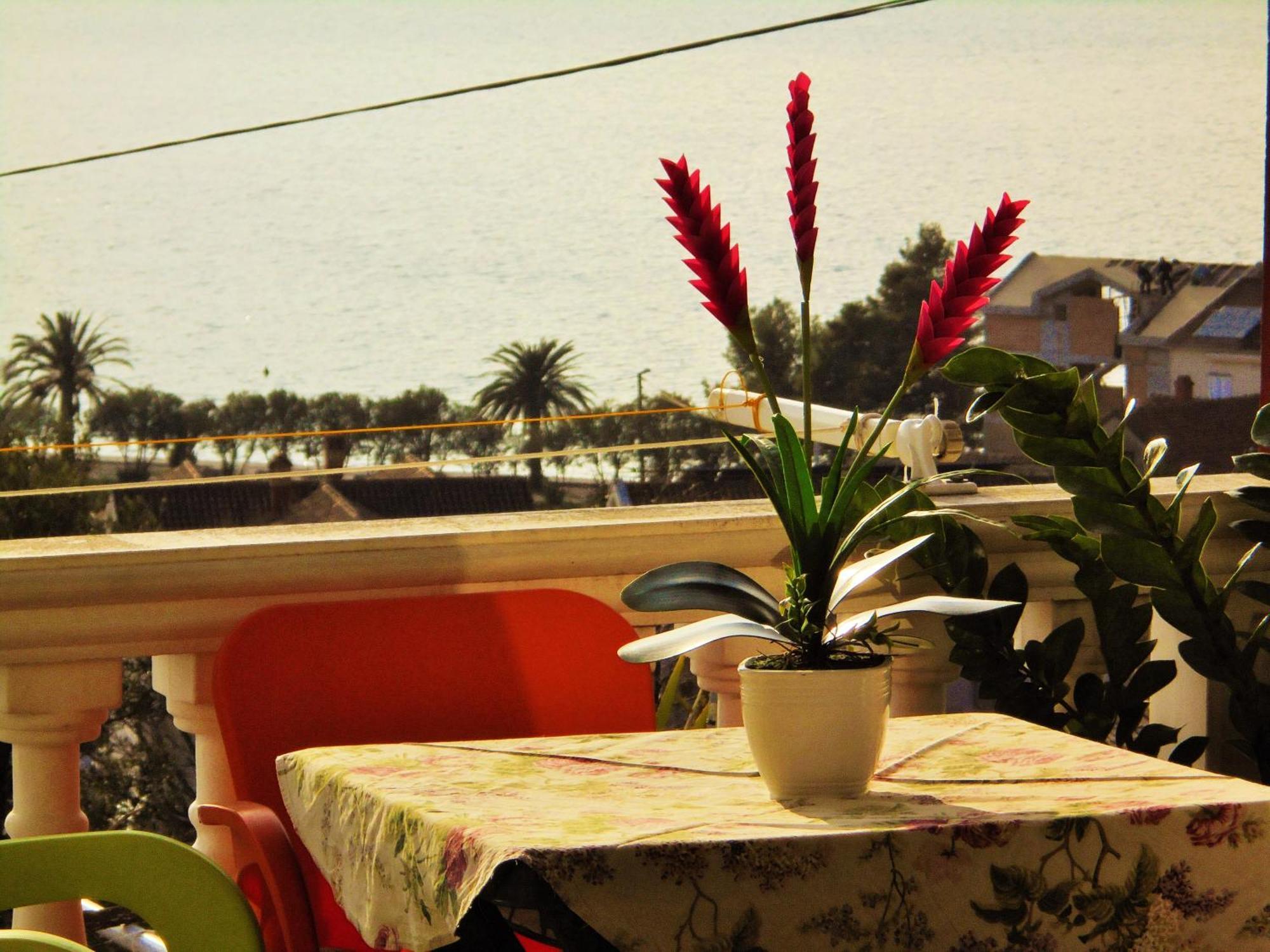 Villa Lastva Apartments Tivat Eksteriør billede